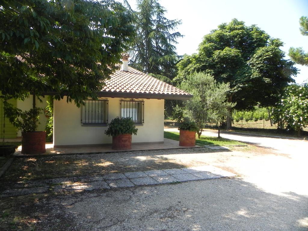 Caterina Residence 파엔차 외부 사진
