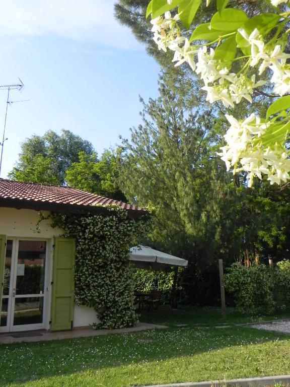 Caterina Residence 파엔차 외부 사진