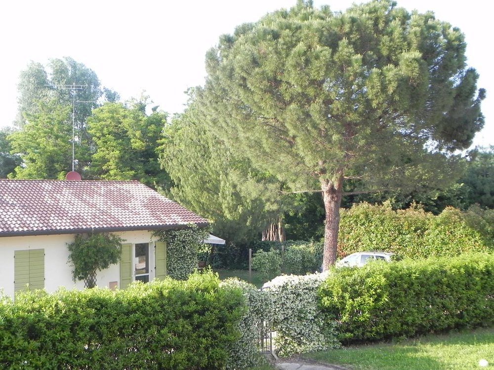 Caterina Residence 파엔차 외부 사진